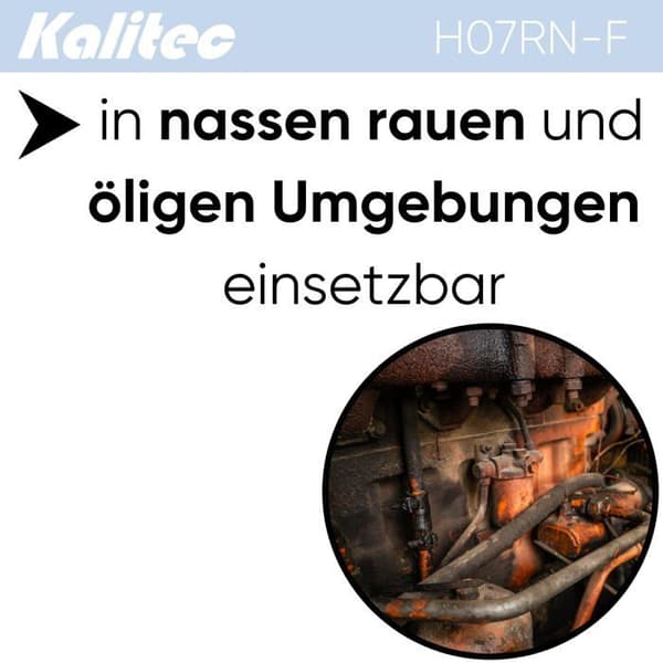 Elkablar - snören - ledare Kalitec - 10111703-5