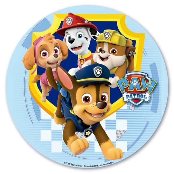 DISC UTAN SOCKER 20 CM PAW PATROL FÖDELSEDAGSTÅKADEKOR