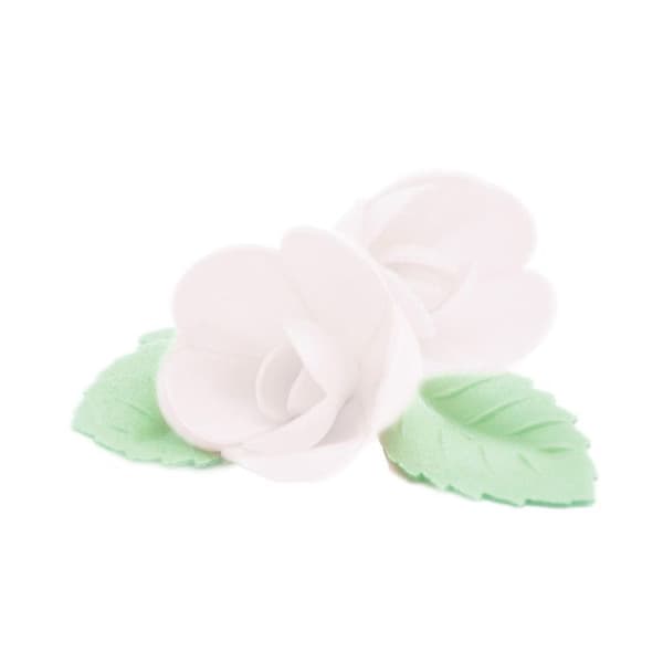Vita Rosor och Gröna Ovanliga Blad