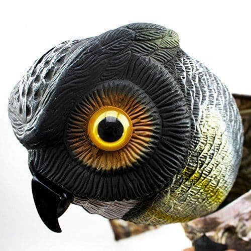 Lockmedel - Bird-X - UGLA - Svart - Trädgård - Skrämma rovdjur