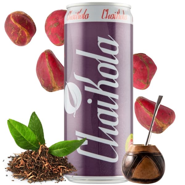 Wild Grass 330 ml hiilihapotettu chaikola-teejuoma antaa potkua
