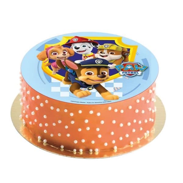 DISC UTAN SOCKER 20 CM PAW PATROL FÖDELSEDAGSTÅKADEKOR
