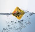 Miniatyrbillede 3 af 5: Casio WM-320MT lommeregner Pocket Display Sort, Gul