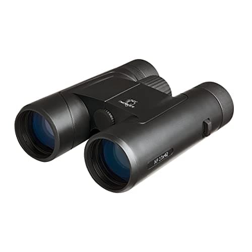 Noblex NF 10x42 inception (NB50588)
