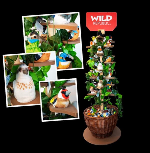 Wild Republic Display Woodhang Fåglar med ljud