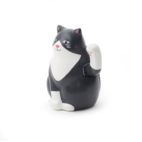 Kikkerland Solkatt