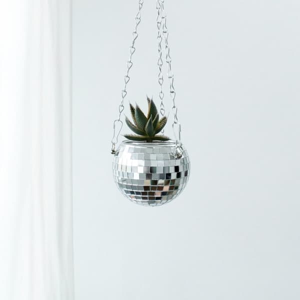 Winkee Potteplante - Disco hengende potteplante - 10 cm