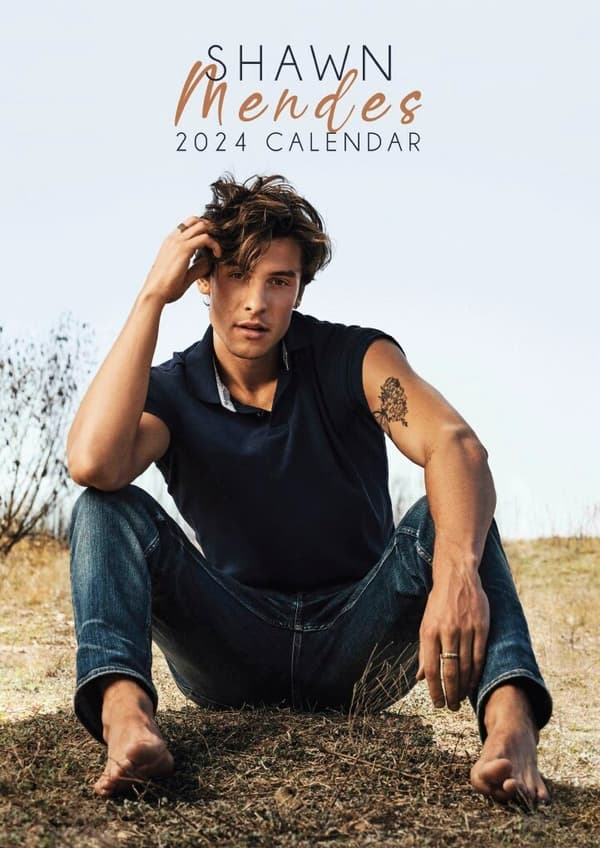Shawn Mendes: 2024 calender