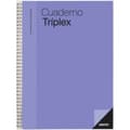 Miniatyrbillede 5 af 9: Notesbog Additio TRIPLEX 22,5 x 31 cm