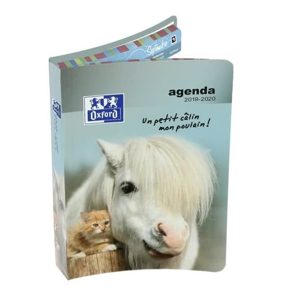 OXFORD Dagbok 100738355 - 12 x 18 cm - 1 dag per sida - Hårt pärm - 352 P - Földekor