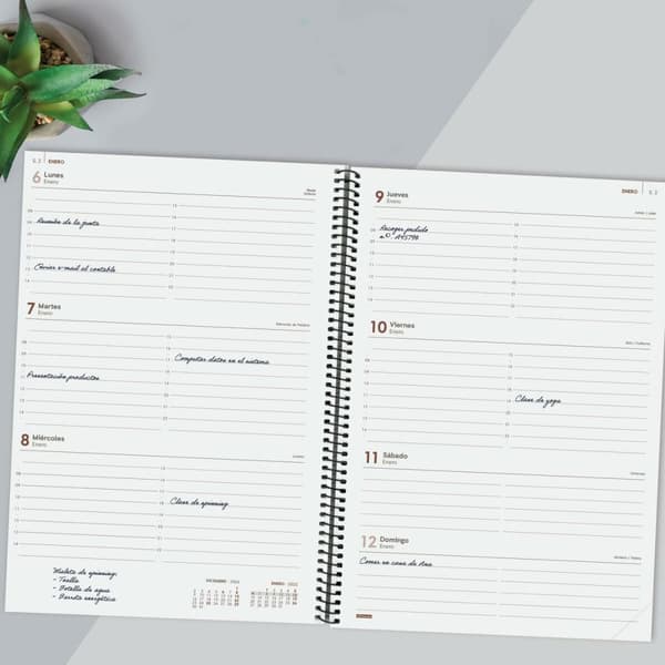 Dagbog Finocam YEAR Sort A4 21 x 29,7 cm 2025