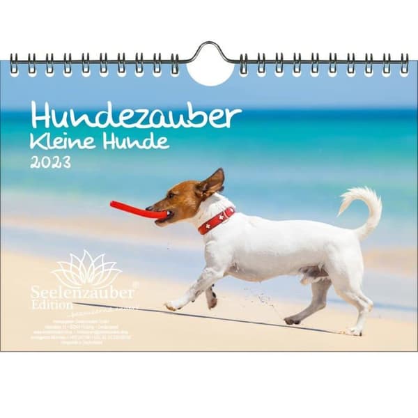 Seelenzauber - KN2023-5W-0011-D-0 - Väggkalender 2023 för valpar och små hundar - Format A5