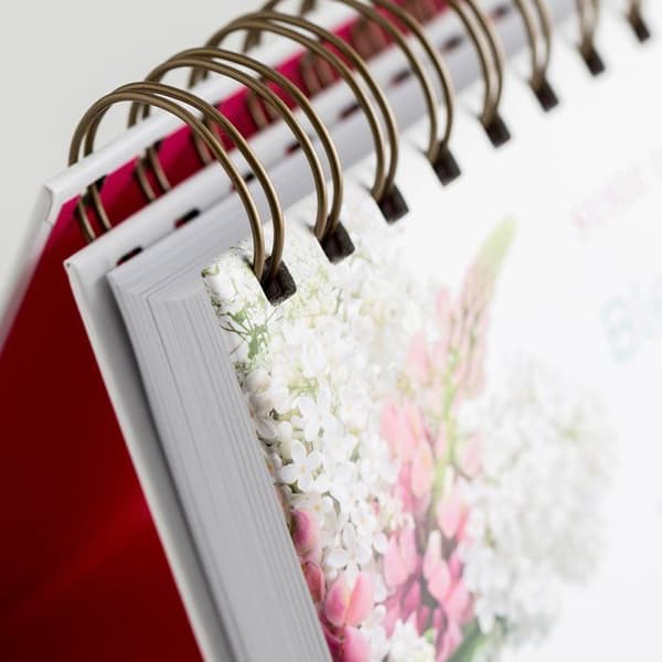 Agenda - organiser - opladning Dayspring - 49911 - Kalender med omslag Susie Larson Velsignelser for Hver Dag, hvid