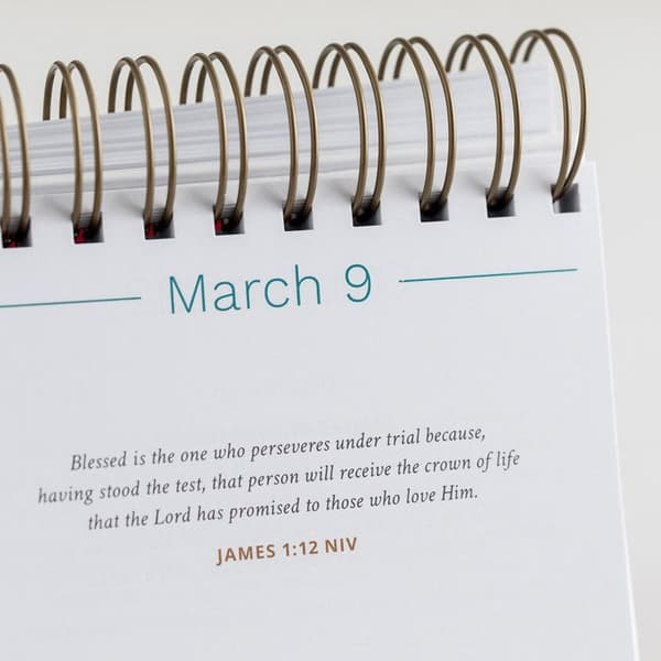 Agenda - organiser - opladning Dayspring - 49911 - Kalender med omslag Susie Larson Velsignelser for Hver Dag, hvid