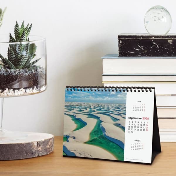 Agenda - organisatör - Finocam - 789314825