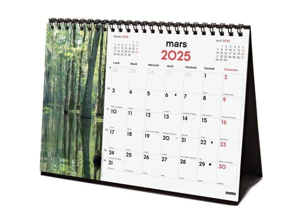 Agenda - organisatör - Finocam - 789314825