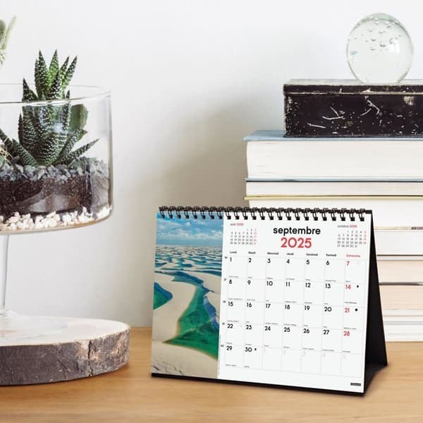 Agenda - organisatör - Finocam - 789314825
