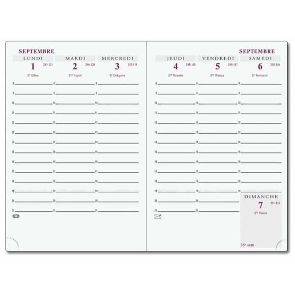 Semainier de Poche EXACOMPTA 15.5 x 10.5 cm - September till September - Rosa - Professionell