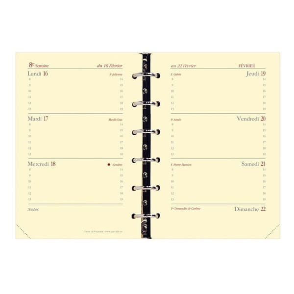 Organizer refill - QUO VADIS - Timer 14 - 16 månader - Format 8x12,5 cm - Horisontell vecka