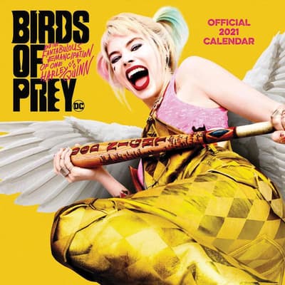 Birds Of Prey 2021 Wall Calendar