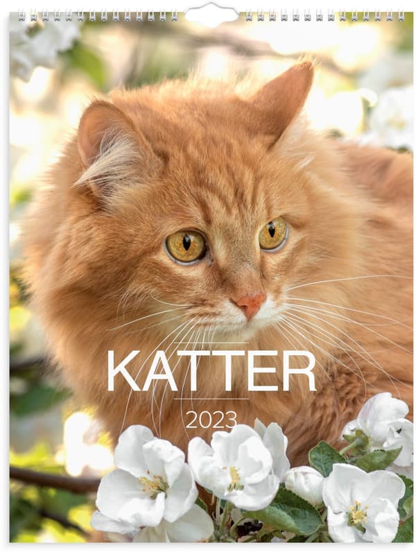Väggkalender 2023 Stora Kattkalendern Burde