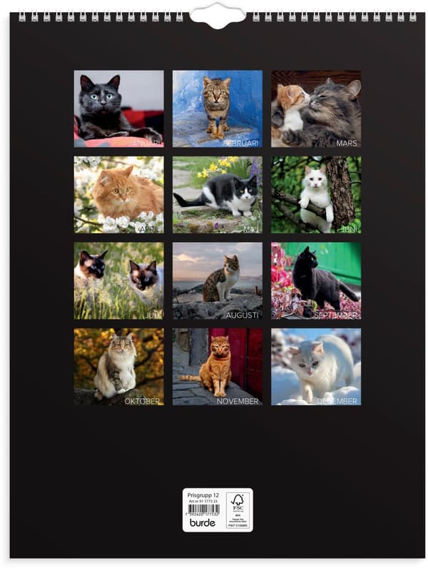 Väggkalender 2023 Stora Kattkalendern Burde
