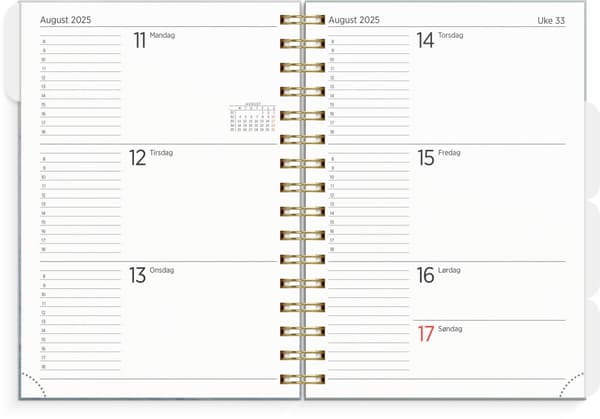 Kalender 2025 A5 Leo Organizer & Notes Marmor Grieg