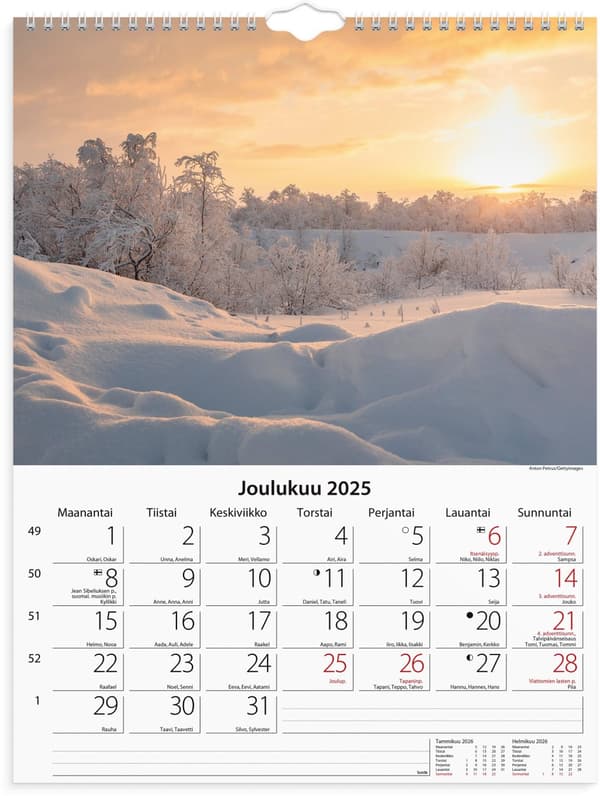 Seinäkalenteri 2025 Luonto Burde
