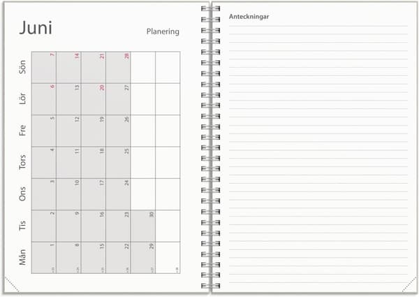 Kalender 25/26 A5 Study Story Blomma Burde