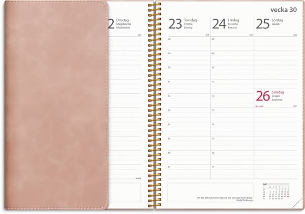 Kalender 25/26 A5 Study Twist rosa Burde