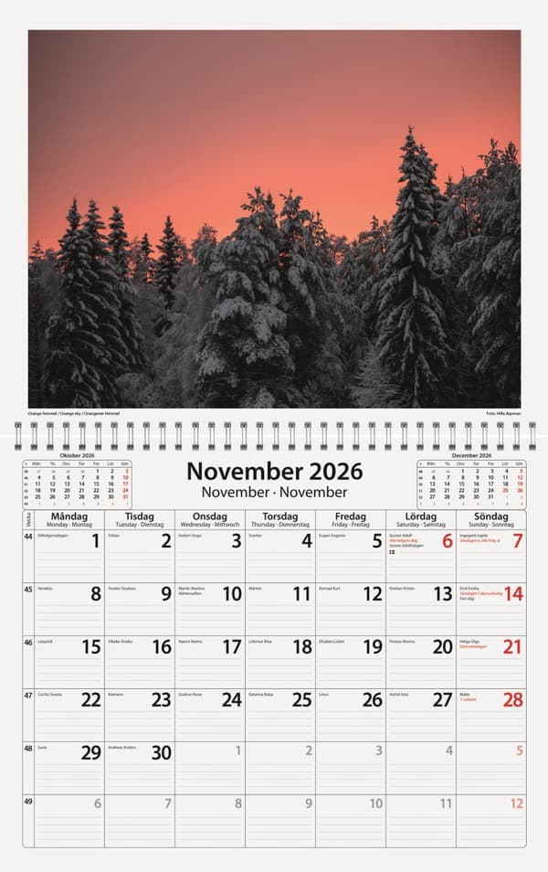Väggkalender Sverige Natur 25/26 Almanacksförlaget