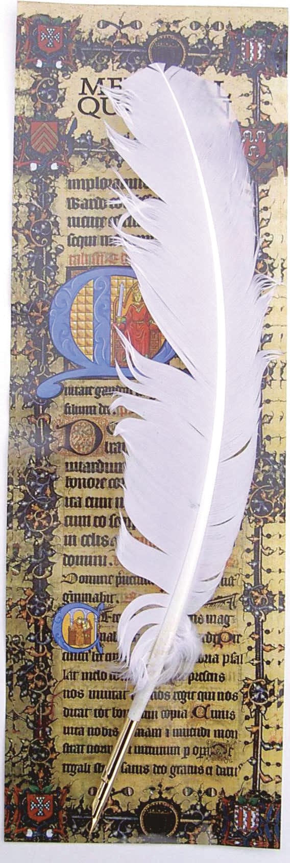 Fjäderpenna Kalligrafispets Vit Ancestors