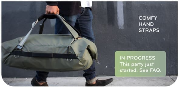Peak Design Travel Duffelpack 65L (Sage)