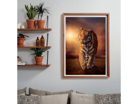 Clementoni Tiger, 1000 stykker, Dyr, 10 år
