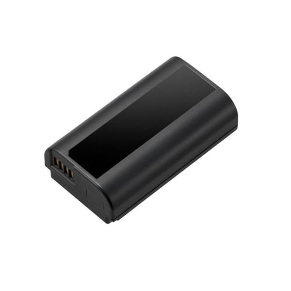 Panasonic-batteri dmw-blj31e för s1/s1r
