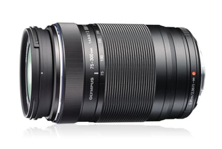 Olympus M.Zuiko Digital - Telefotozoomobjektiv - 75 mm - 300 mm - f/4.8-6.7 ED II - Micro Four Thirds - for OM-D E-M10 Mark IIIS; PEN E-PM2