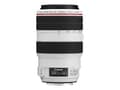 Miniatyrbilde 3 av 5: Canon EF - Telezoomobjektiv - 70 mm - 300 mm - f/4.0-5.6 L IS USM - Canon EF