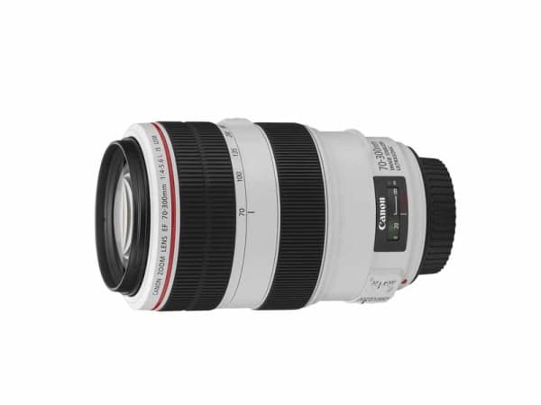 Canon EF - Telezoomobjektiv - 70 mm - 300 mm - f/4.0-5.6 L IS USM - Canon EF