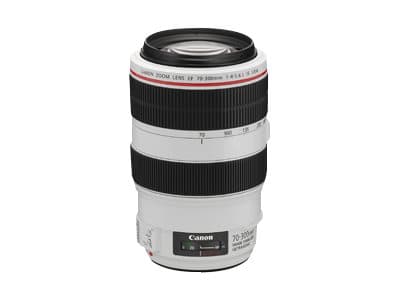 Canon EF - Telezoomobjektiv - 70 mm - 300 mm - f/4.0-5.6 L IS USM - Canon EF