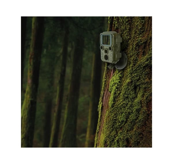 Braun løypekamera Scouting Cam Black800 Mini