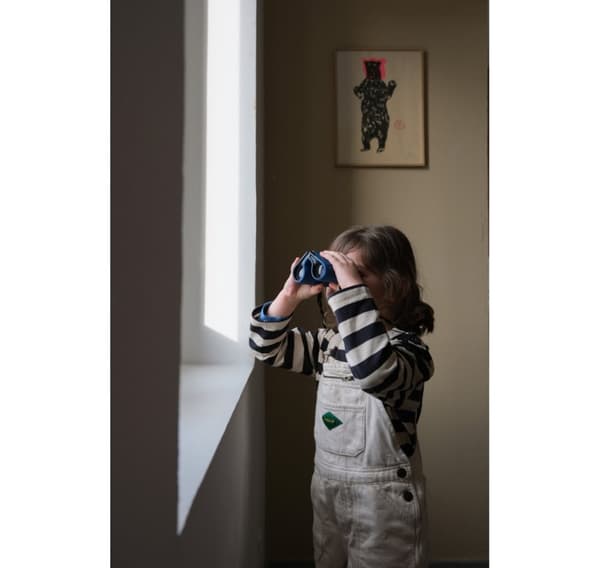Fujifilm X-T50 runko, hopea