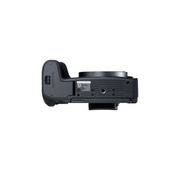 Hybridkamera, EOS-R8 Body, Canon
