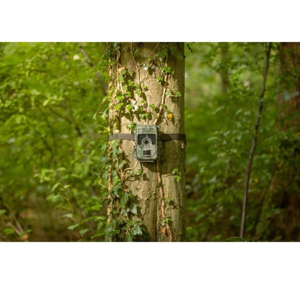 Camouflage trail camera SM4 Pro