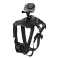 Miniatyrbilde 4 av 10: Hund Brystbelte til GoPro HERO
