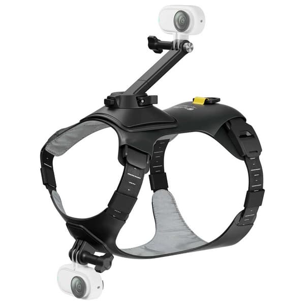 Insta360 Lemmikkieläinten Valjaat S