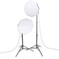 Miniatyrbild 1 av 2: StudioKing Daylight Kit PK-SB608K 2x85W