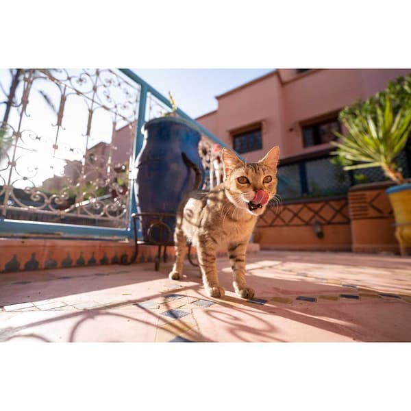 Tamron Telefoto 24 Mm F/2.8 Di Iii Rxd Sony E Sort