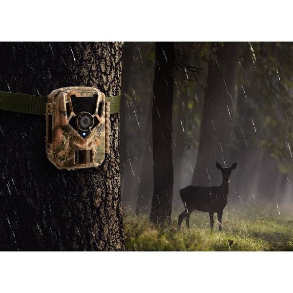 Renkforce RF-HC-100 Viltkamera 16 Megapixel Time-lapse-video Kamouflage Brun