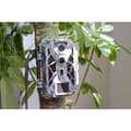 Miniatyrbild 5 av 5: Braun Phototechnik Black 820 Viltkamera 32 Megapixel Time-lapse-video, ljudinspelning Kamouflage