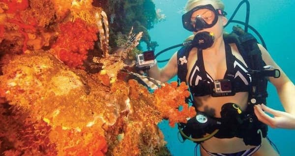 GoPro Magenta dykkerfilter til standardhus